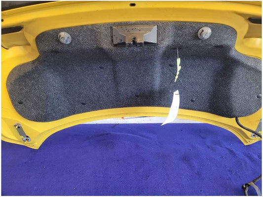 2015-2017 Ford Mustang GT S550 Trunk Deck Lid Spoiler Coupe Paint H3 2718