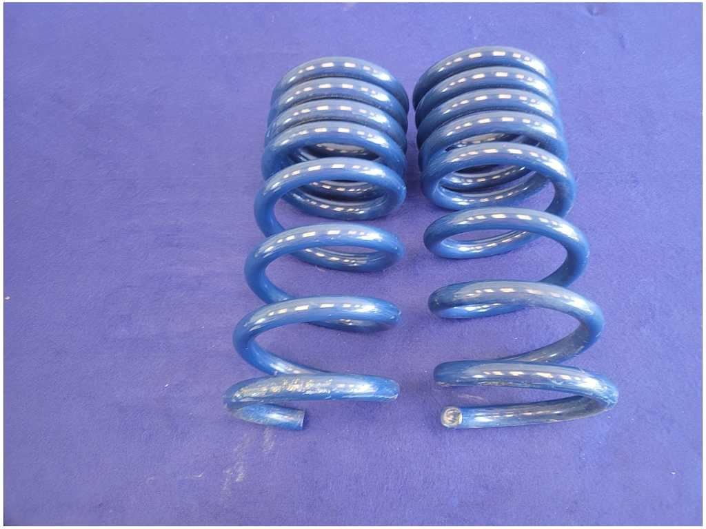 2015 - 2020 Mustang Shelby GT350 Pair Rear Ford Racing Springs Coil 2711 - The Parts Farm