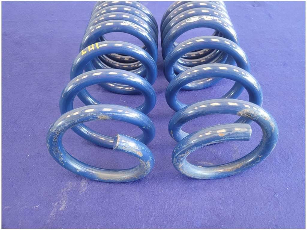 2015 - 2020 Mustang Shelby GT350 Pair Rear Ford Racing Springs Coil 2711 - The Parts Farm