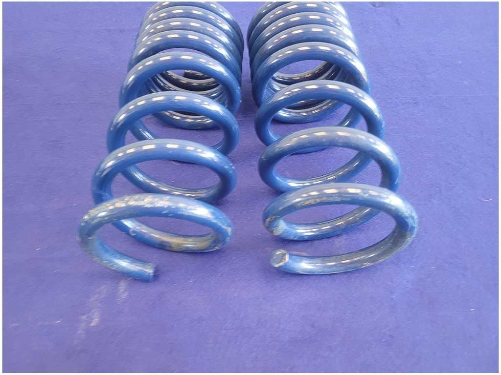 2015 - 2020 Mustang Shelby GT350 Pair Rear Ford Racing Springs Coil 2711 - The Parts Farm