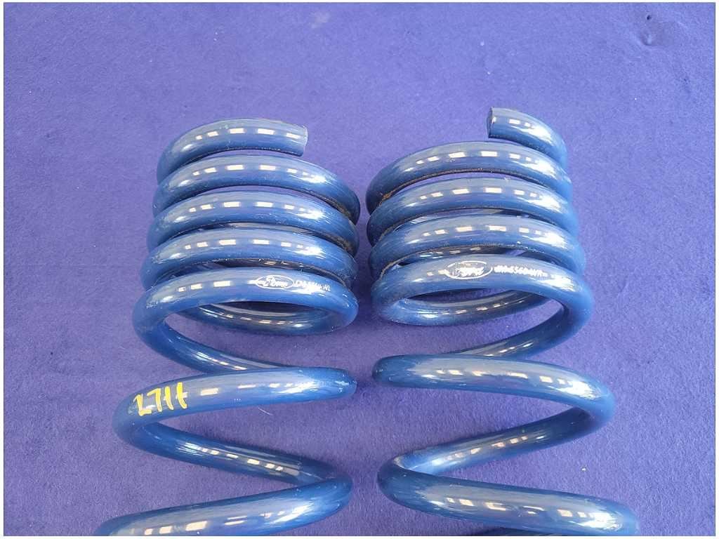 2015 - 2020 Mustang Shelby GT350 Pair Rear Ford Racing Springs Coil 2711 - The Parts Farm