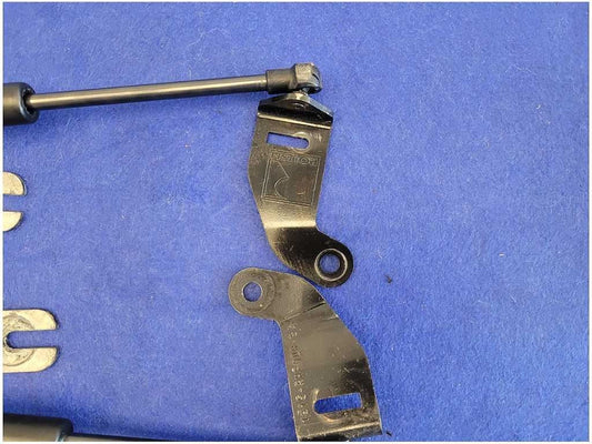 2015-2023 Ford Mustang GT S550 Pair Hood Hinges Struts 2768