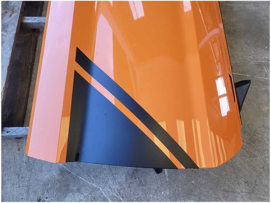 2015-2023 Ford Mustang GT S550 Passenger Coupe Door Shell Paint CA 2768