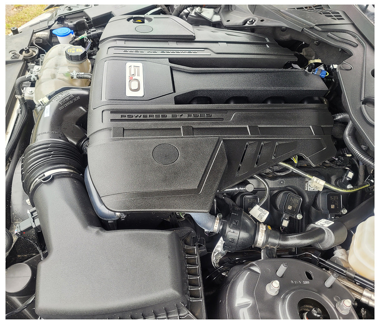 Stock 2622. 2021 Ford Mustang GT S550 5.0L Gen 3 Coyote 10R80 A/T 21k Miles - The Parts Farm