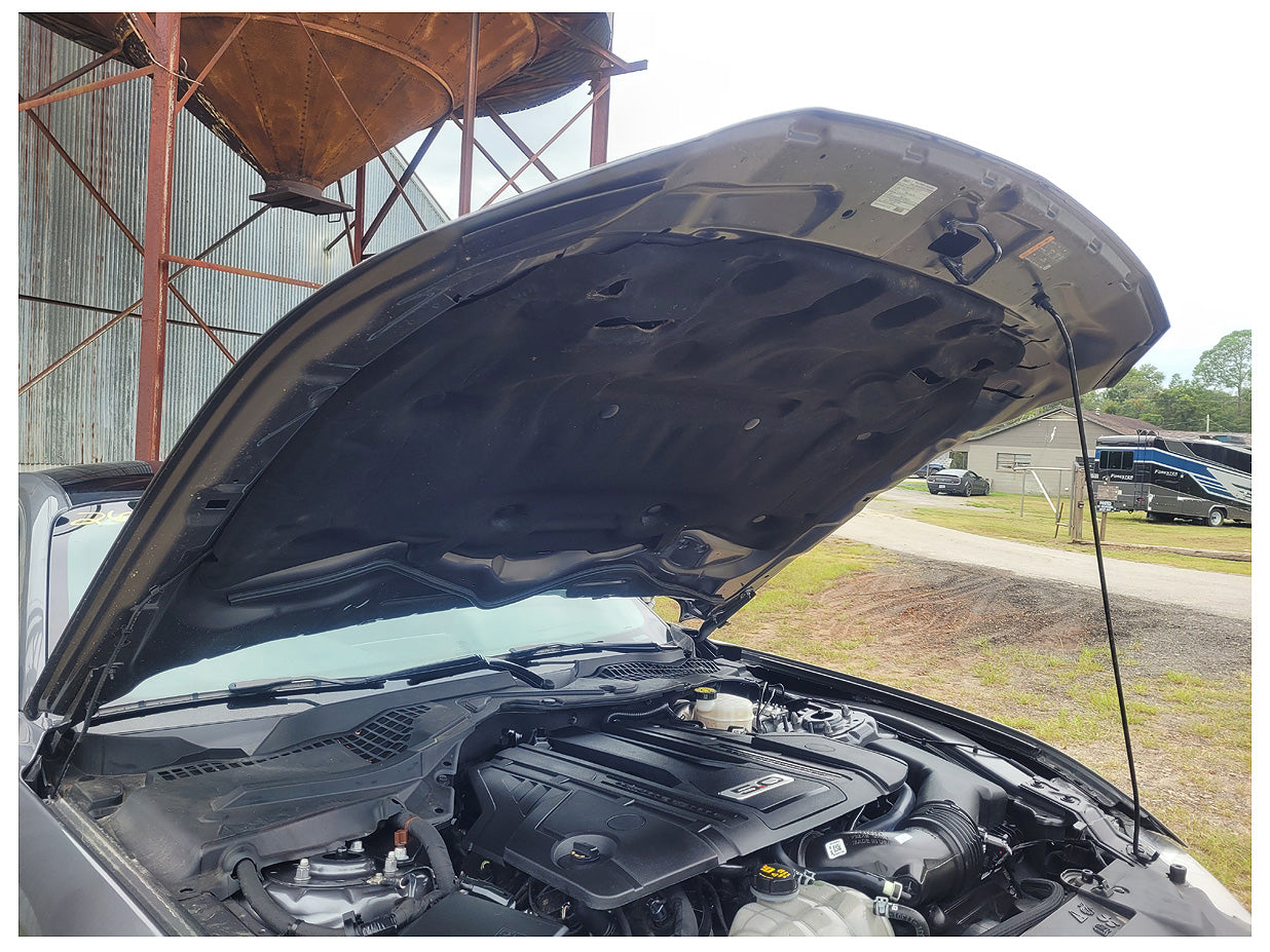 Stock 2622. 2021 Ford Mustang GT S550 5.0L Gen 3 Coyote 10R80 A/T 21k Miles - The Parts Farm