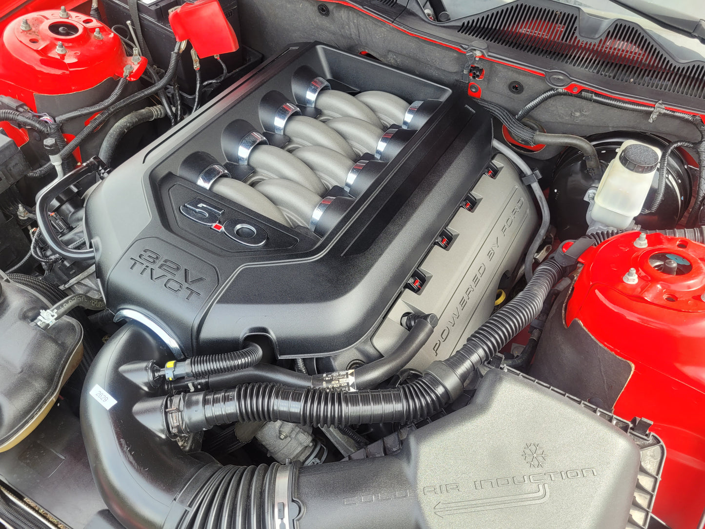 Stock 2629. 2014 Ford Mustang GT Coupe 5.0L Yote 6R80 Auto Trans 69k MIles - The Parts Farm