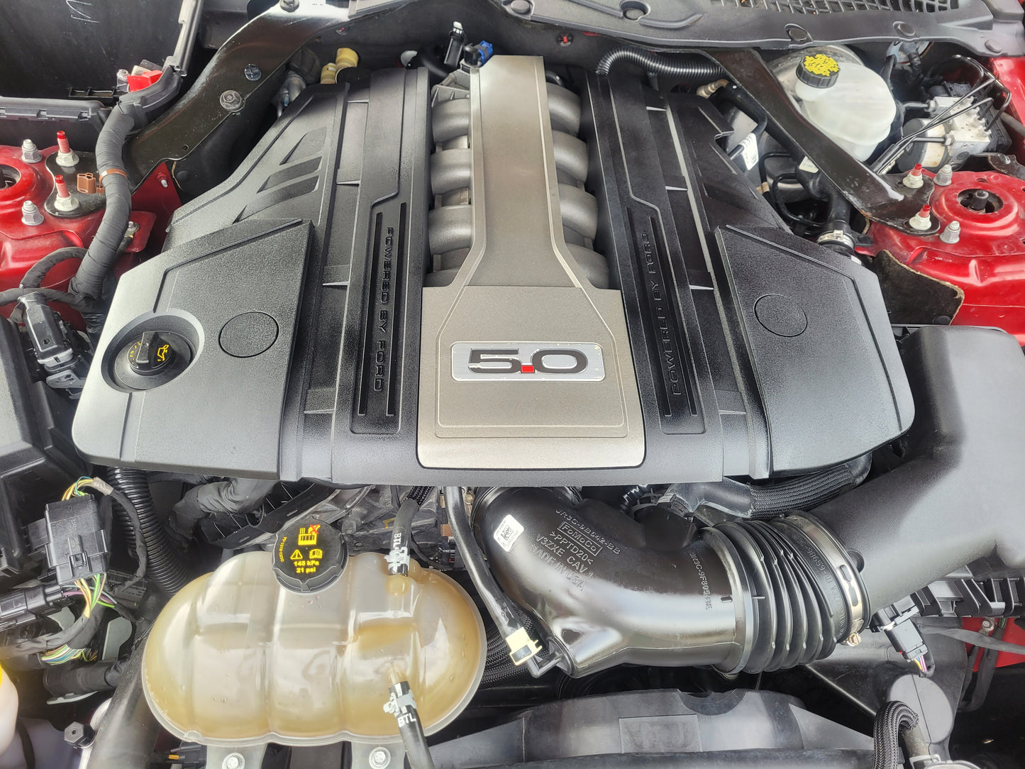 Stock 2630. 2018 Ford Mustang GT Coupe 5.0L V8 Gen 3 10R80 10 Speed Trans 17k Miles - The Parts Farm