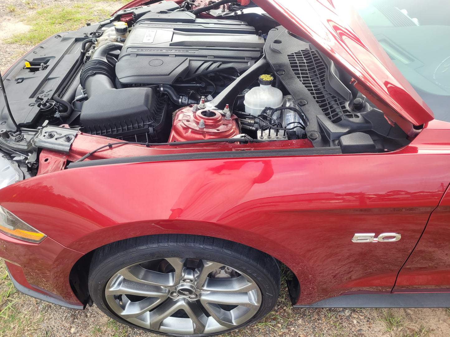 Stock 2630. 2018 Ford Mustang GT Coupe 5.0L V8 Gen 3 10R80 10 Speed Trans 17k Miles - The Parts Farm