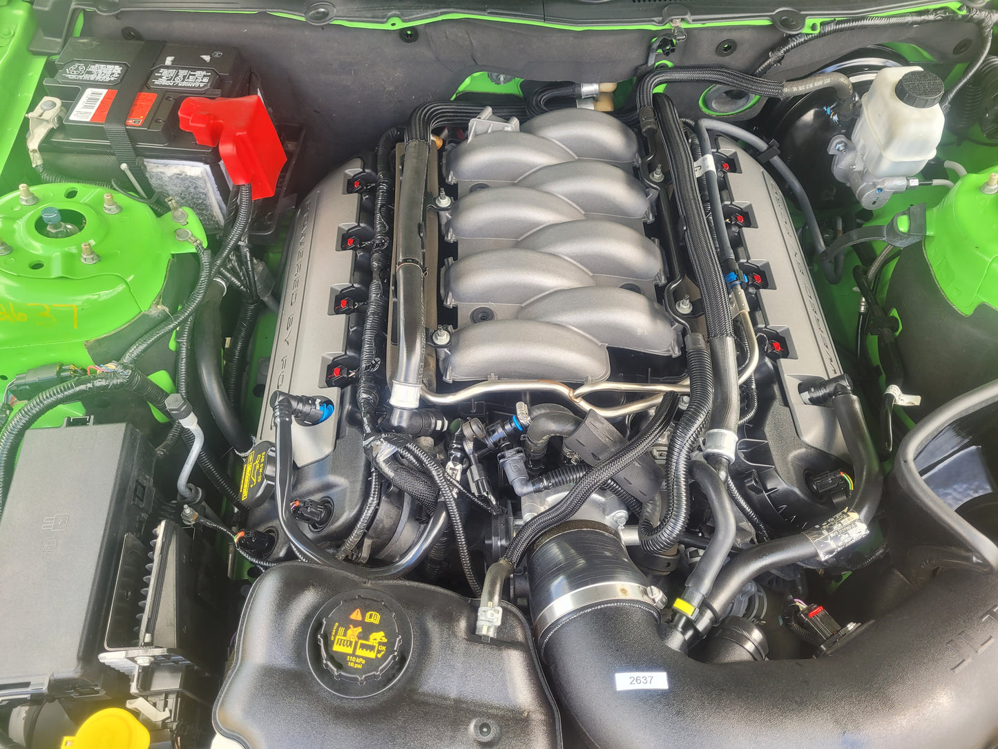 Stock 2637. 2014 Ford Mustang GT Coupe 5.0L Gen 1 6R80 A/T Bird Sh*t Green 29k Miles - The Parts Farm