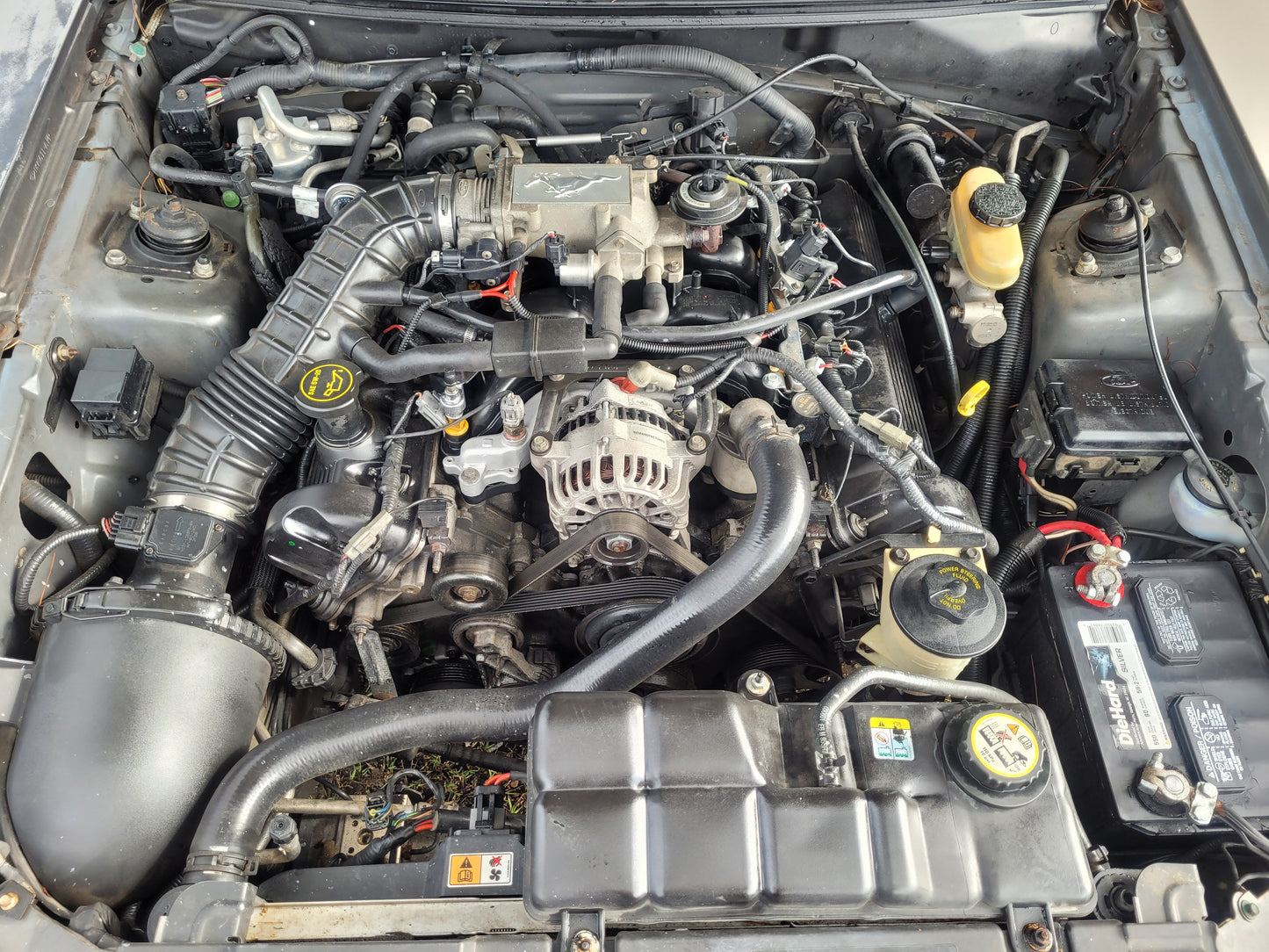 Stock 2640. 2002 Ford Mustang GT Coupe 4.6L 2V Engine 3650 M/T Clear Title!! - The Parts Farm