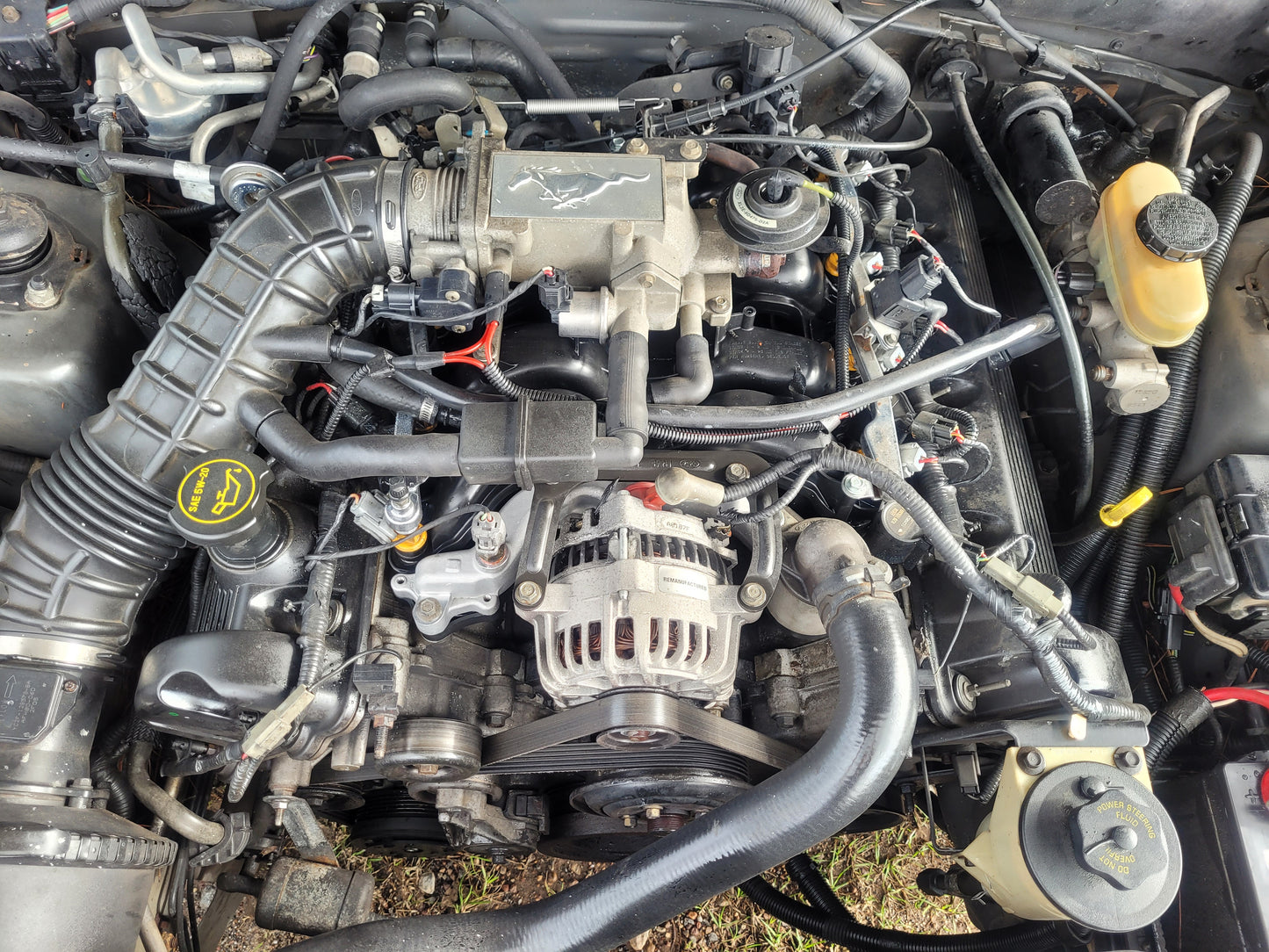 Stock 2640. 2002 Ford Mustang GT Coupe 4.6L 2V Engine 3650 M/T Clear Title!! - The Parts Farm