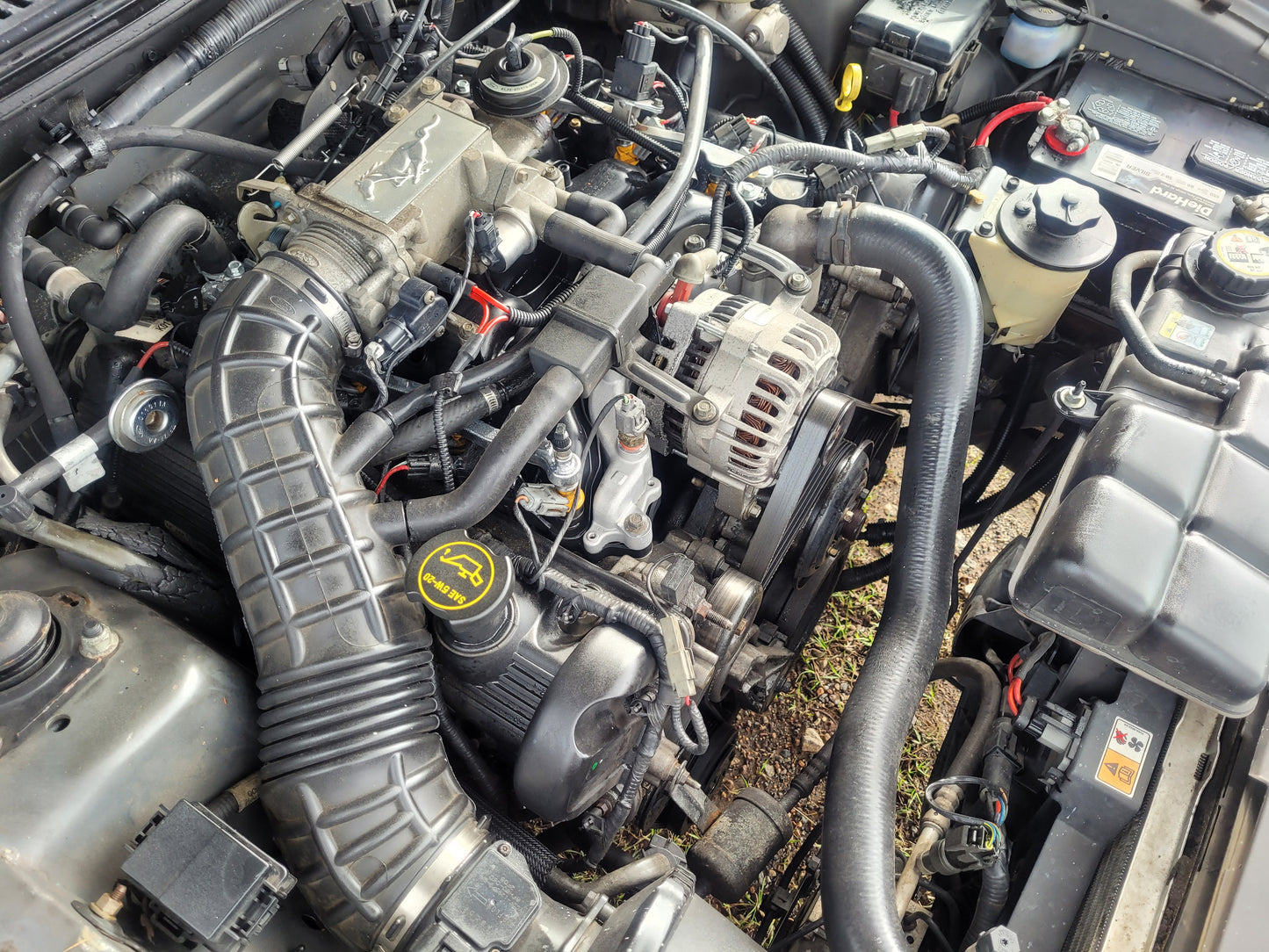 Stock 2640. 2002 Ford Mustang GT Coupe 4.6L 2V Engine 3650 M/T Clear Title!! - The Parts Farm