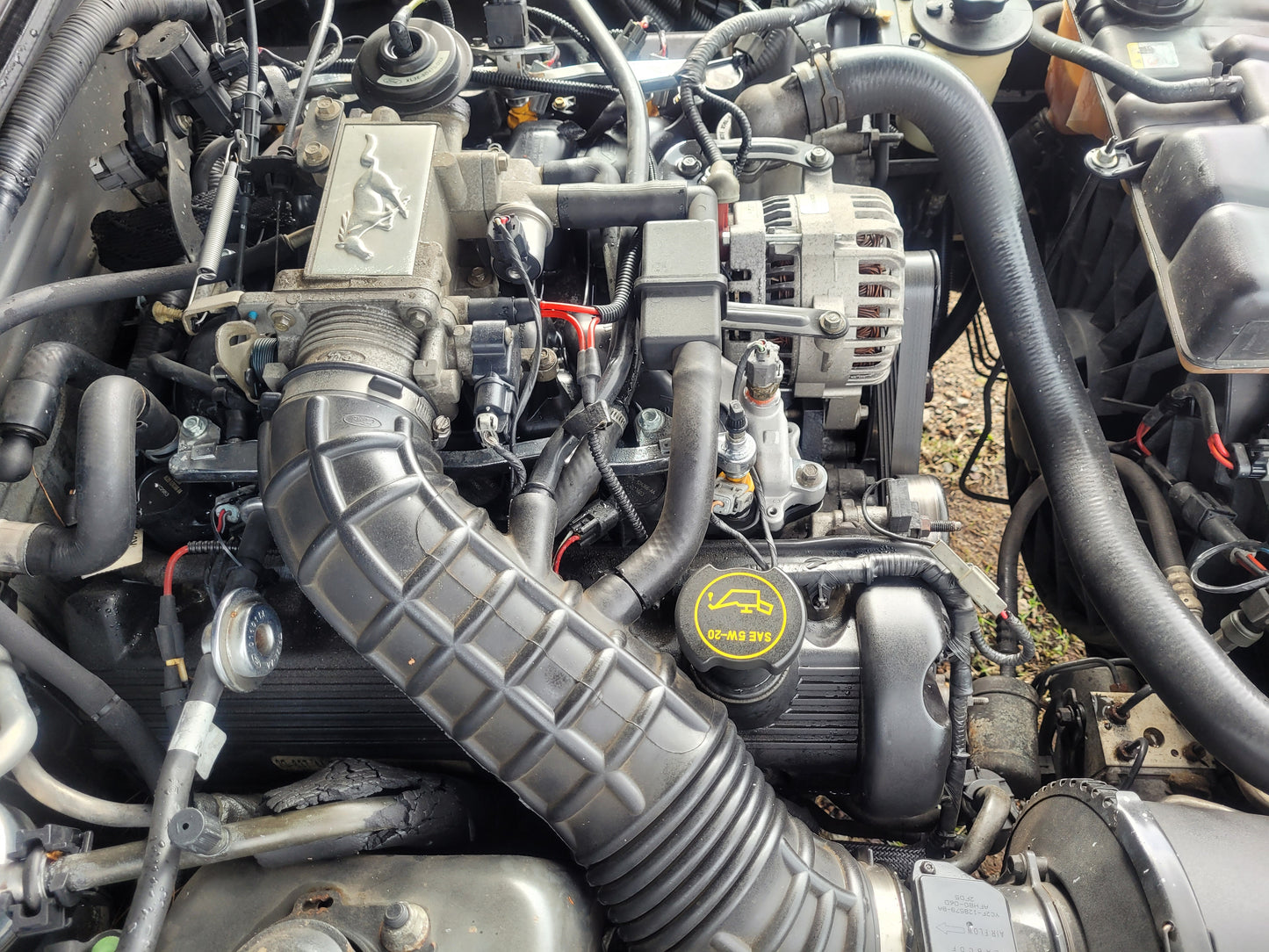 Stock 2640. 2002 Ford Mustang GT Coupe 4.6L 2V Engine 3650 M/T Clear Title!! - The Parts Farm