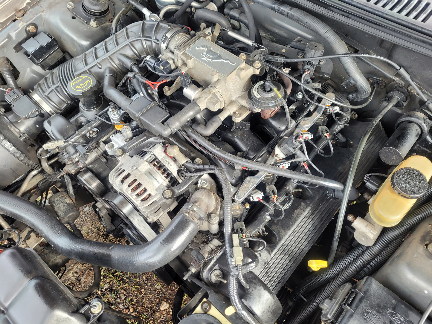 Stock 2640. 2002 Ford Mustang GT Coupe 4.6L 2V Engine 3650 M/T Clear Title!! - The Parts Farm