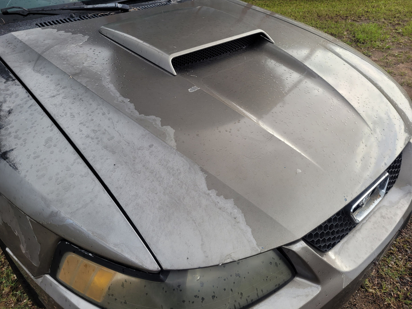 Stock 2640. 2002 Ford Mustang GT Coupe 4.6L 2V Engine 3650 M/T Clear Title!! - The Parts Farm