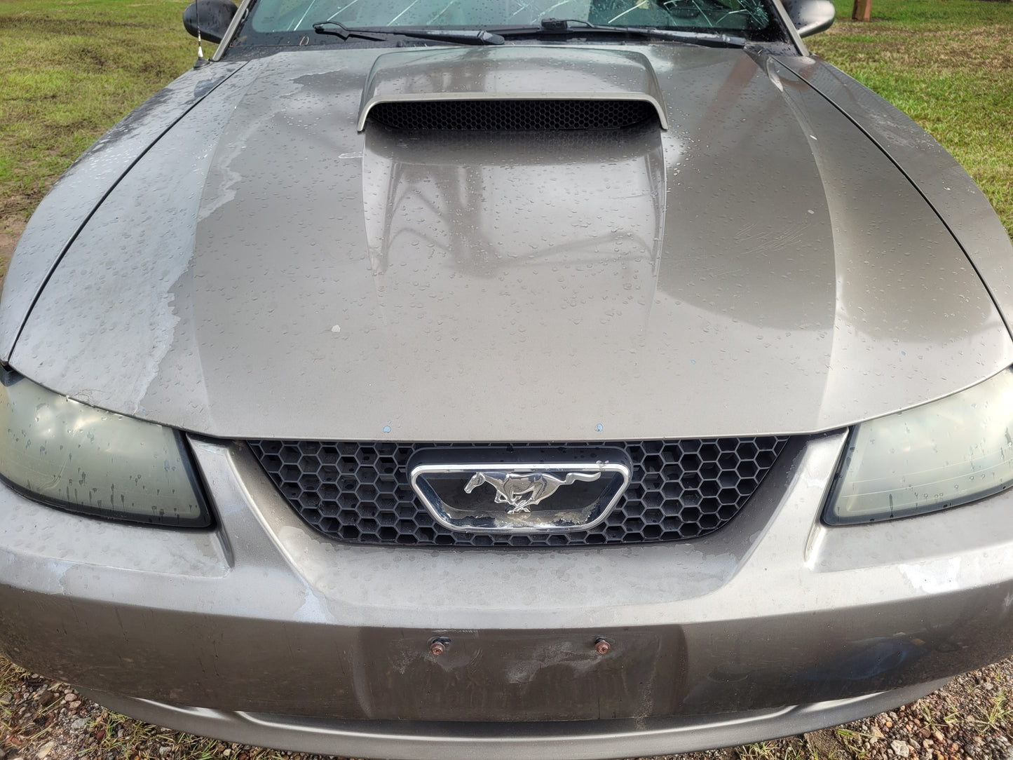 Stock 2640. 2002 Ford Mustang GT Coupe 4.6L 2V Engine 3650 M/T Clear Title!! - The Parts Farm
