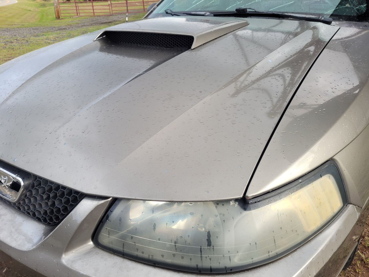 Stock 2640. 2002 Ford Mustang GT Coupe 4.6L 2V Engine 3650 M/T Clear Title!! - The Parts Farm