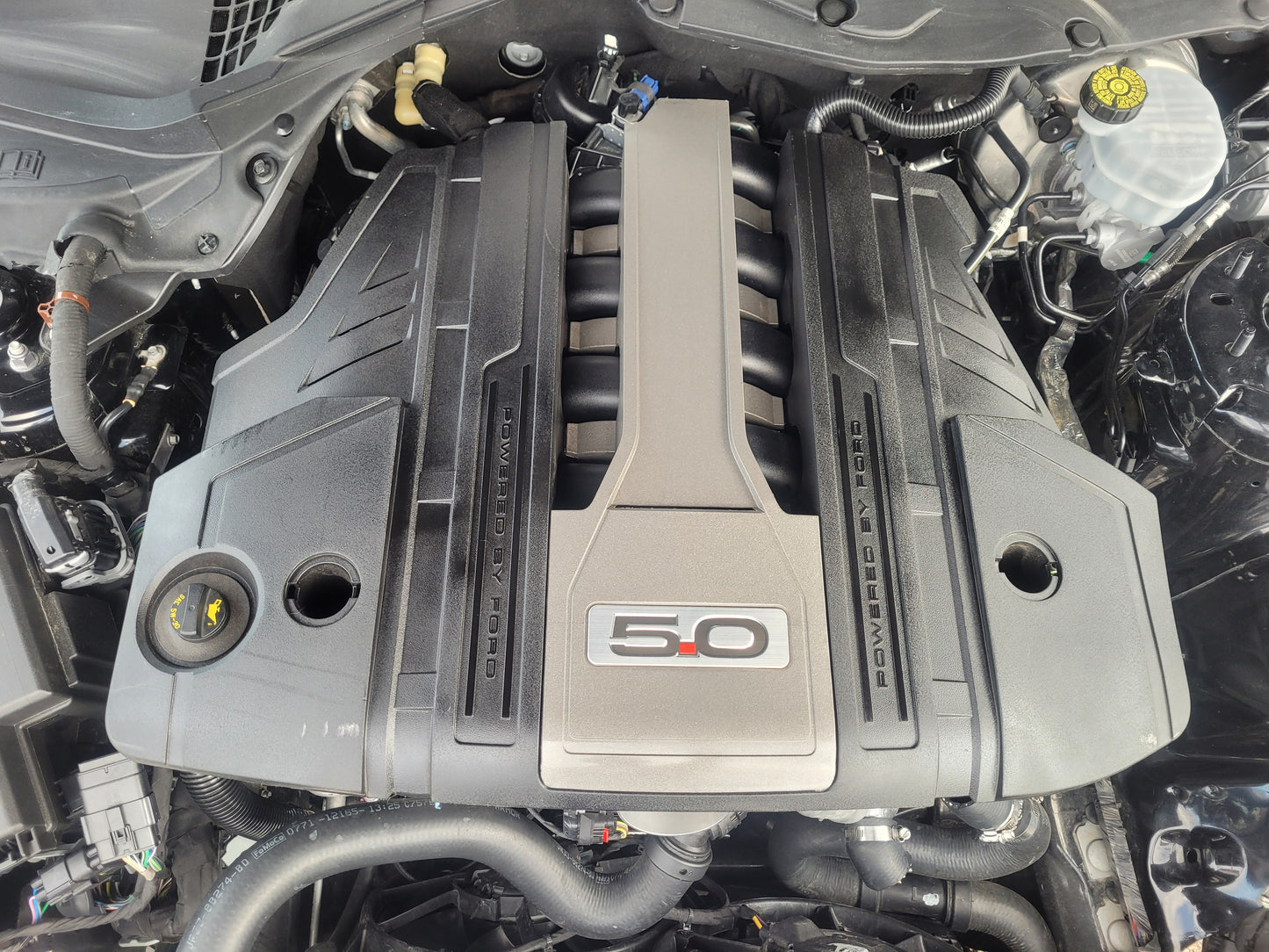Stock 2644. 2021 Ford Mustang GT Coupe 5.0L V8 Engine MT82 Manny Tranny 21k Miles - The Parts Farm