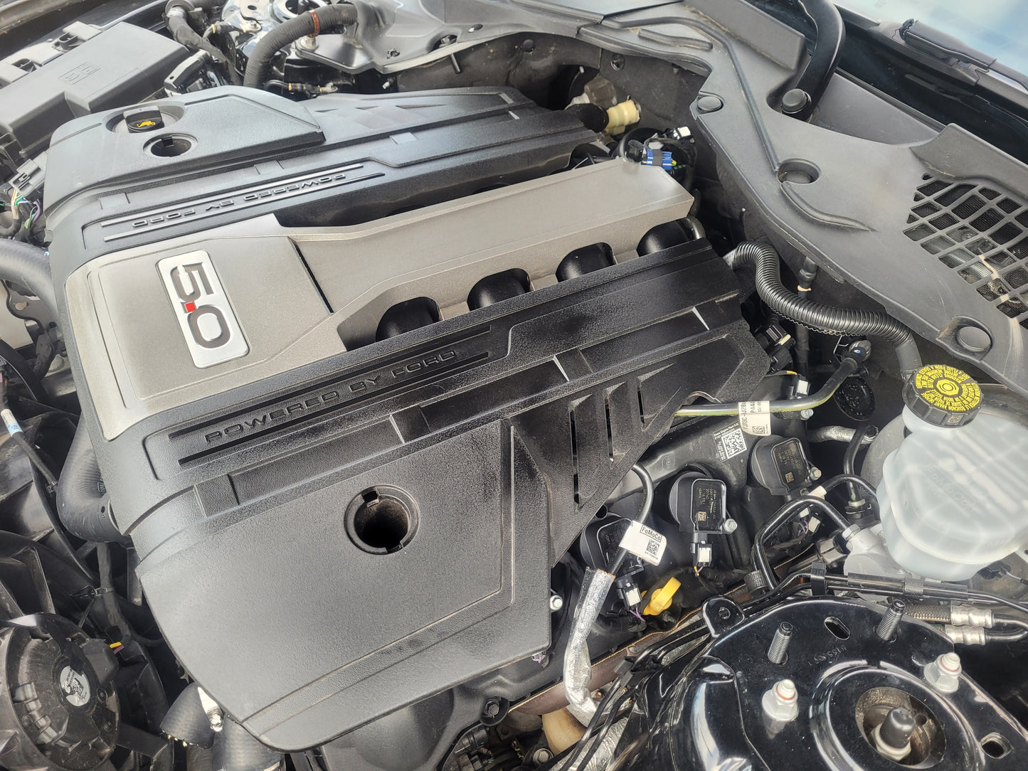 Stock 2644. 2021 Ford Mustang GT Coupe 5.0L V8 Engine MT82 Manny Tranny 21k Miles - The Parts Farm