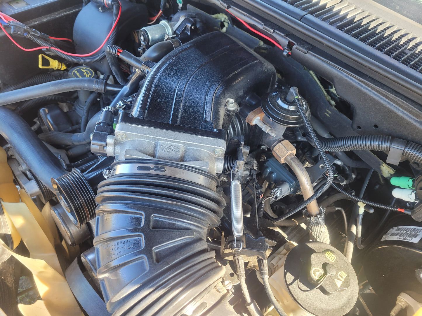 Stock 2642. 2003 Ford F150 Harley Davidson 5.4L SC Engine 4R100 Auto Trans Clear Title 90k Miles - The Parts Farm