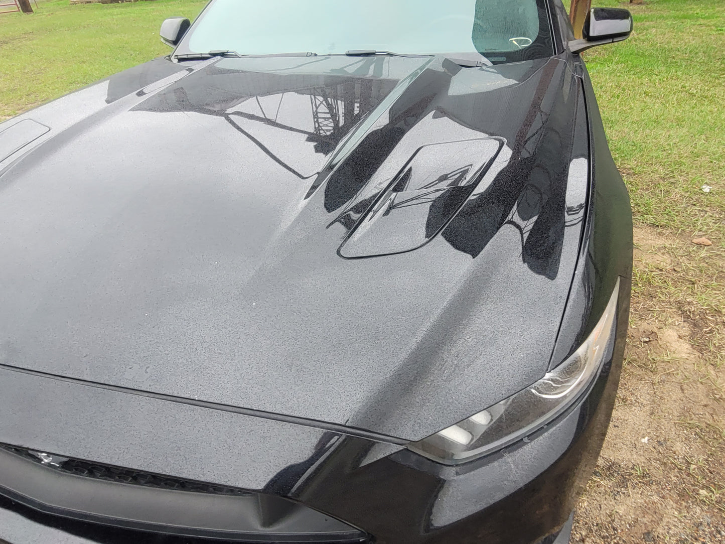 Stock 2643. 2016 Ford Mustang GT Coupe Performance Pack 5.0L V8 Engine MT82 Manny Tranny 42k Miles - The Parts Farm