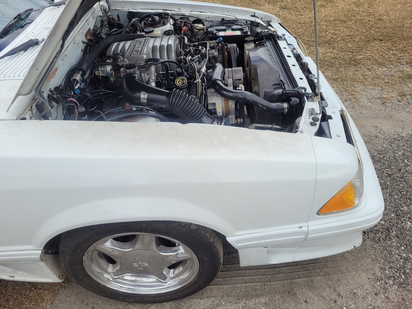 Stock 2657. 1987 Ford Mustang Mclaren Convertible 5.0L Engine T5 Manual Trans 95k Miles - The Parts Farm