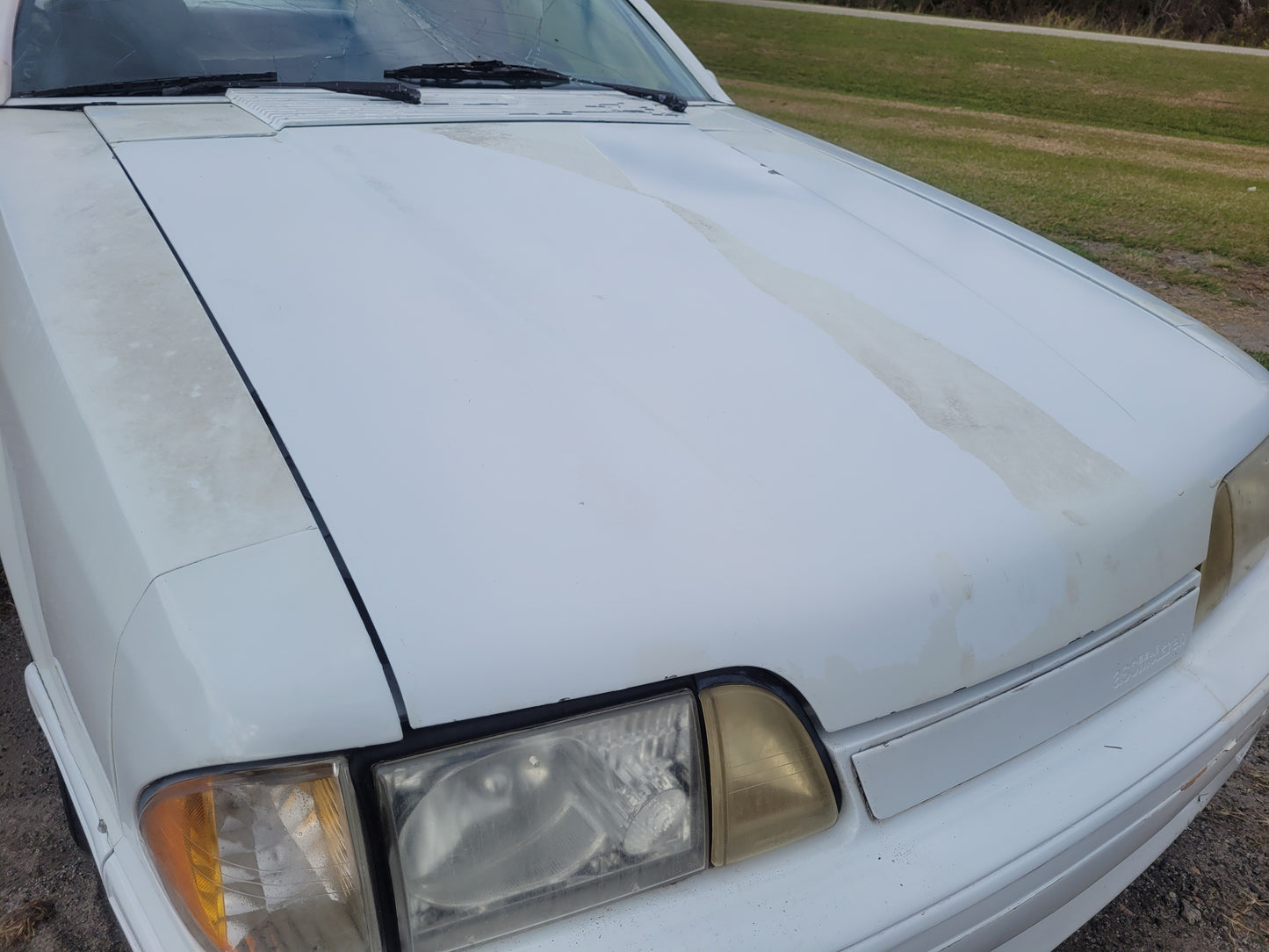 Stock 2657. 1987 Ford Mustang Mclaren Convertible 5.0L Engine T5 Manual Trans 95k Miles - The Parts Farm