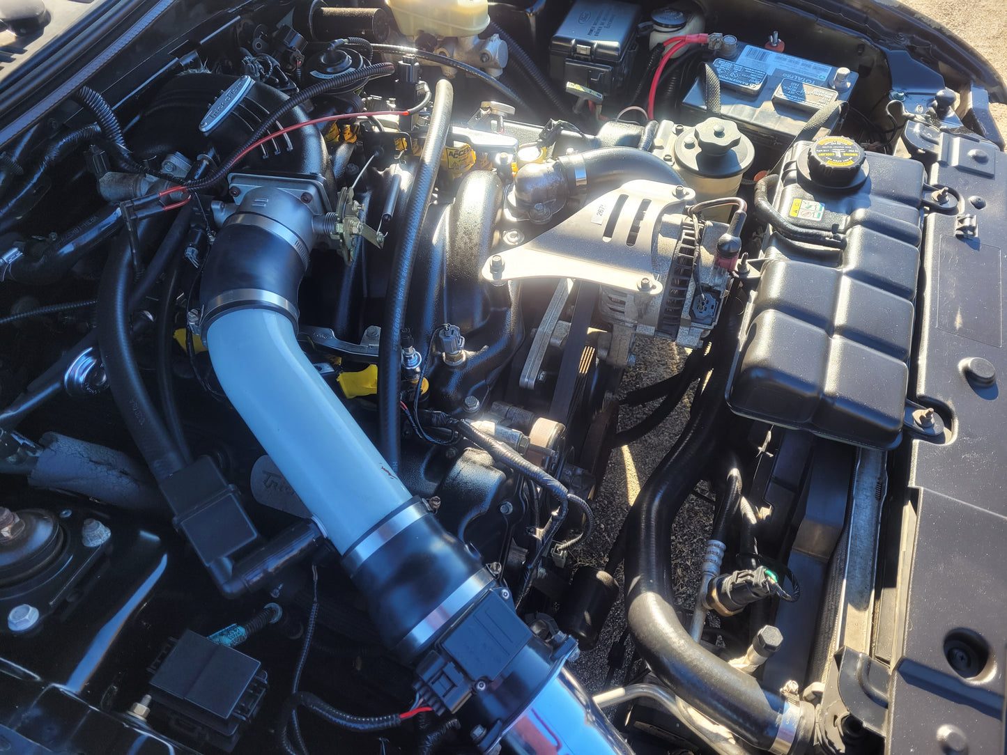 Stock 2675. 2000 Ford Mustang GT Coupe 4.6L V8 Trickflow Intake T45 Headers 116k Miles - The Parts Farm