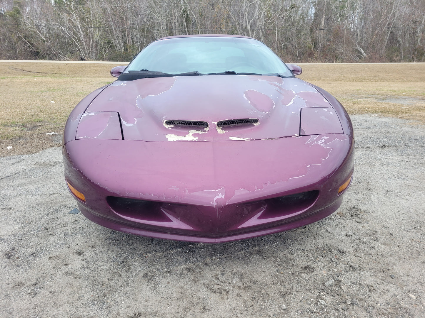 Stock 2676. 1995 Pontiac Firebird Firehawk 5.7L V8 LT1 Coupe Auto Trans 88k Miles - The Parts Farm