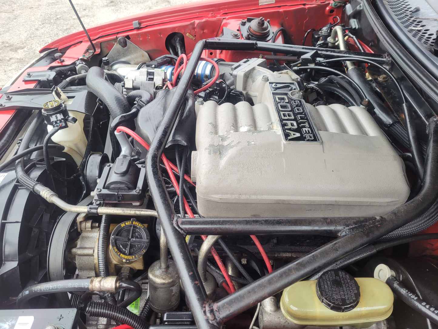 Stock 2678. 1994 Ford Mustang Cobra Coupe 5.0L V8 T5Z 5 Speed M/T 63k Miles - The Parts Farm