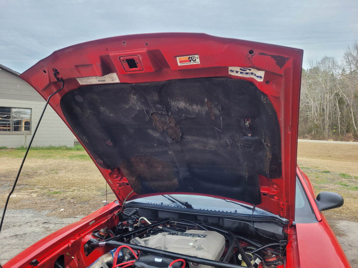 Stock 2678. 1994 Ford Mustang Cobra Coupe 5.0L V8 T5Z 5 Speed M/T 63k Miles - The Parts Farm