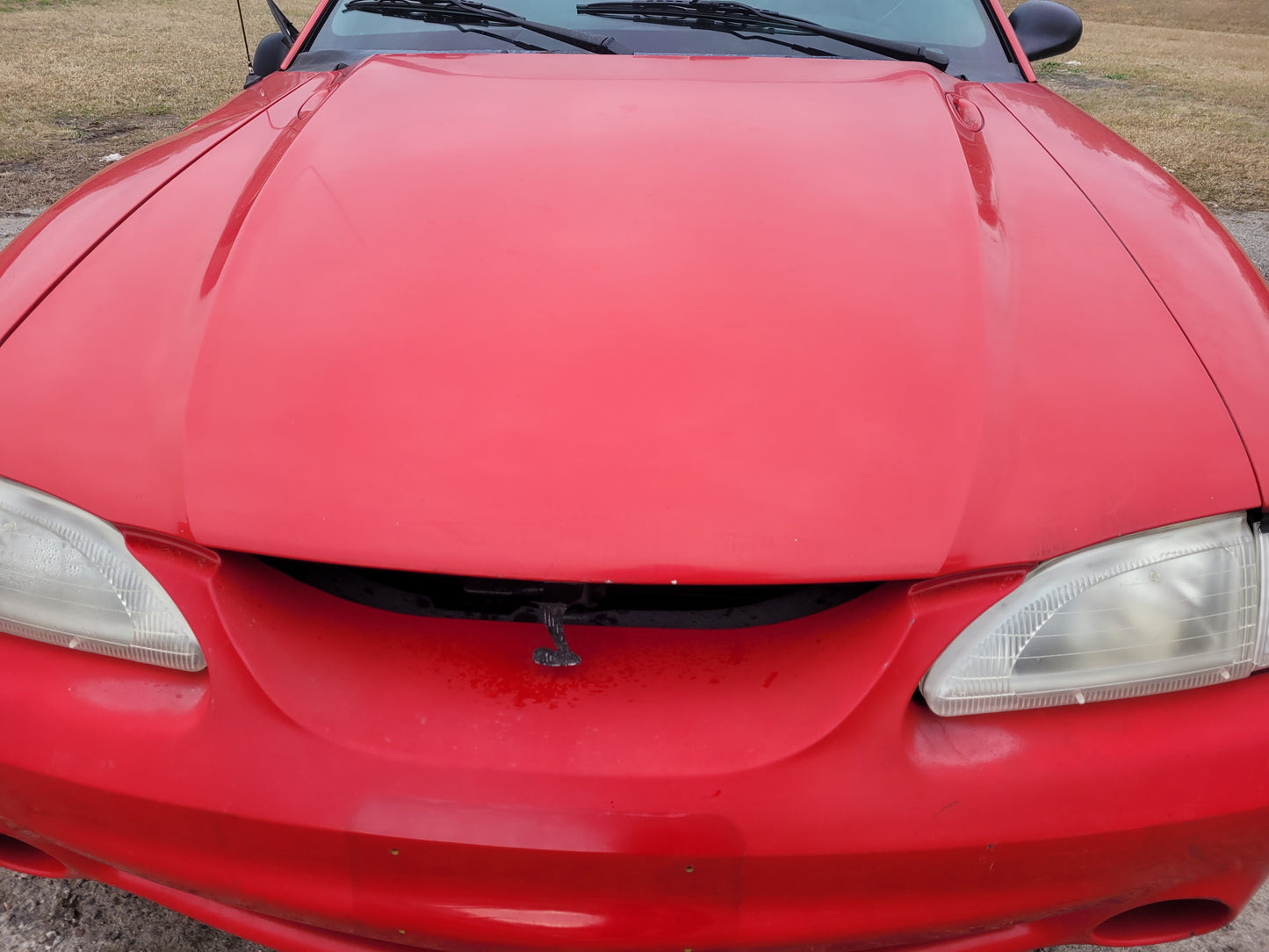 Stock 2678. 1994 Ford Mustang Cobra Coupe 5.0L V8 T5Z 5 Speed M/T 63k Miles - The Parts Farm