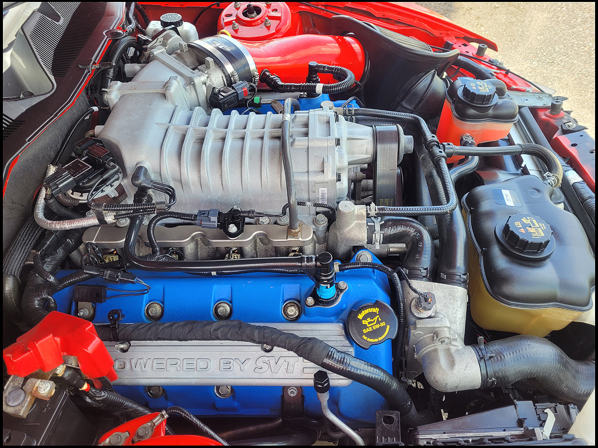 Stock 2710. 2011 Ford Mustang Shelby GT500 5.4L SC V8 TR6060 6 Speed Manny Tranny 54k Miles - The Parts Farm