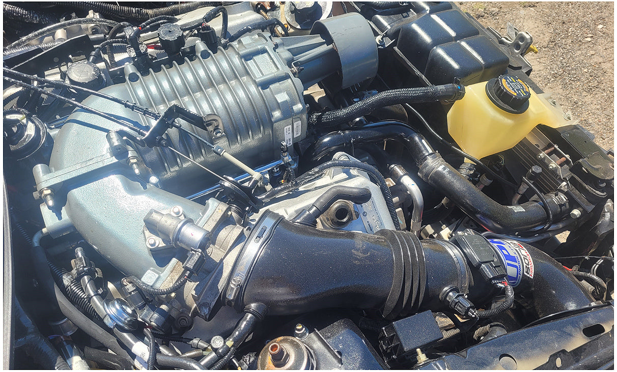 Stock 2713. 2004 Ford Mustang Cobra Convertible 4.6L SC Terminator T56 Trans 39k Miles