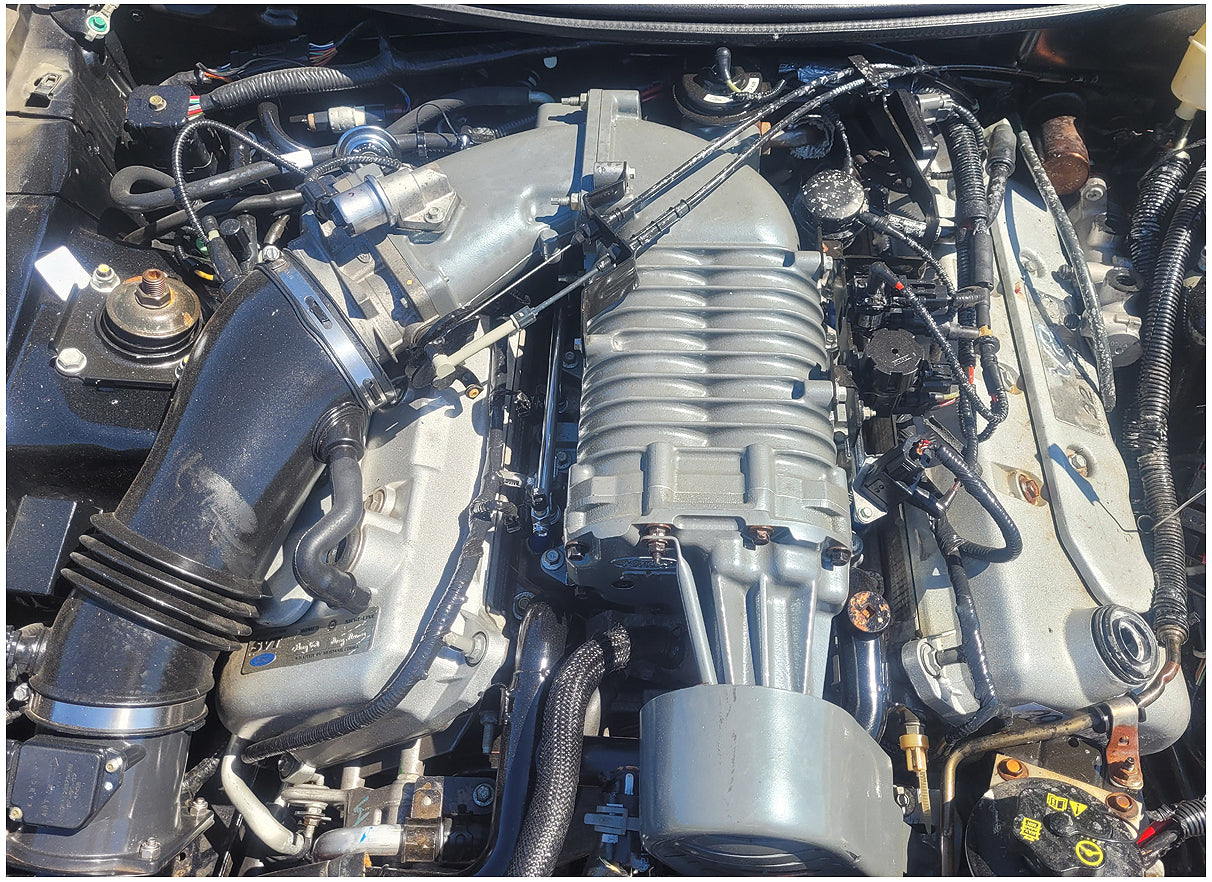Stock 2713. 2004 Ford Mustang Cobra Convertible 4.6L SC Terminator T56 Trans 39k Miles