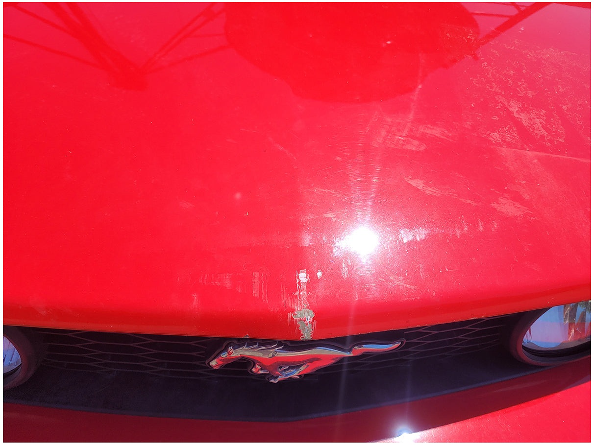 Stock 2723. 2006 Ford Mustang GT Convertible 4.6L V8 Engine 5R55 Auto Trans 49k Miles