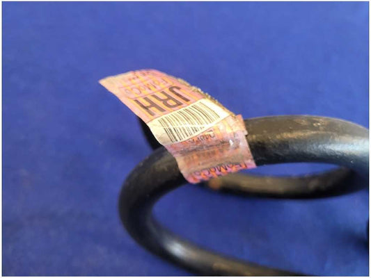 2018-2023 Ford Mustang GT S550 Coupe Pair Rear Coil Springs PP Suspension 2782