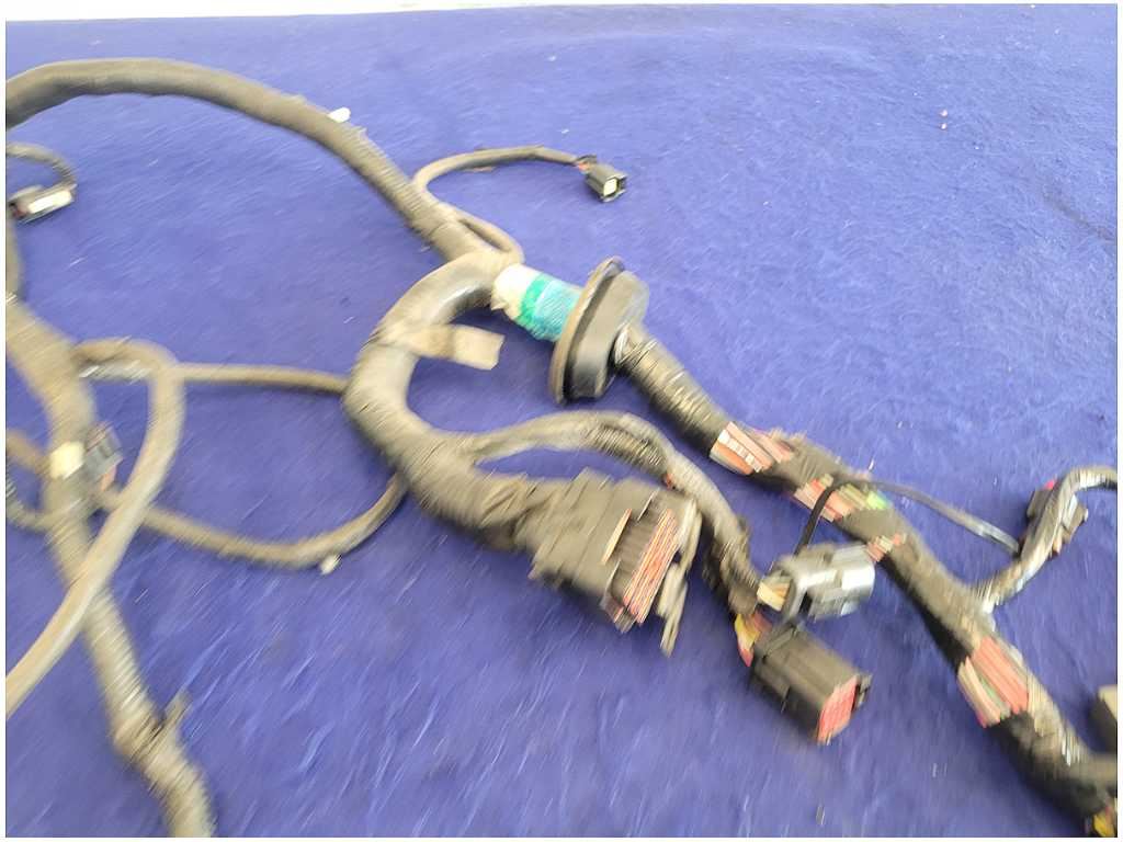 45010542