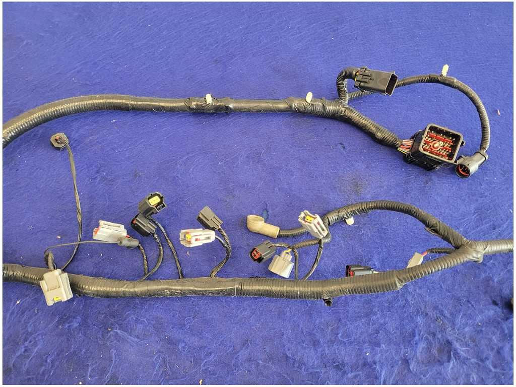 45010544