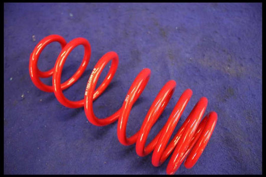 New 2005-2009 Ford Mustang Saleen Racecraft S281 Lowering Springs NOS