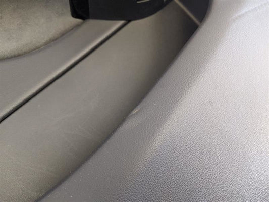 2017 2018 2019 2020 Tesla Model 3 Rear Passenger Right RH Door Panel OEM Factory