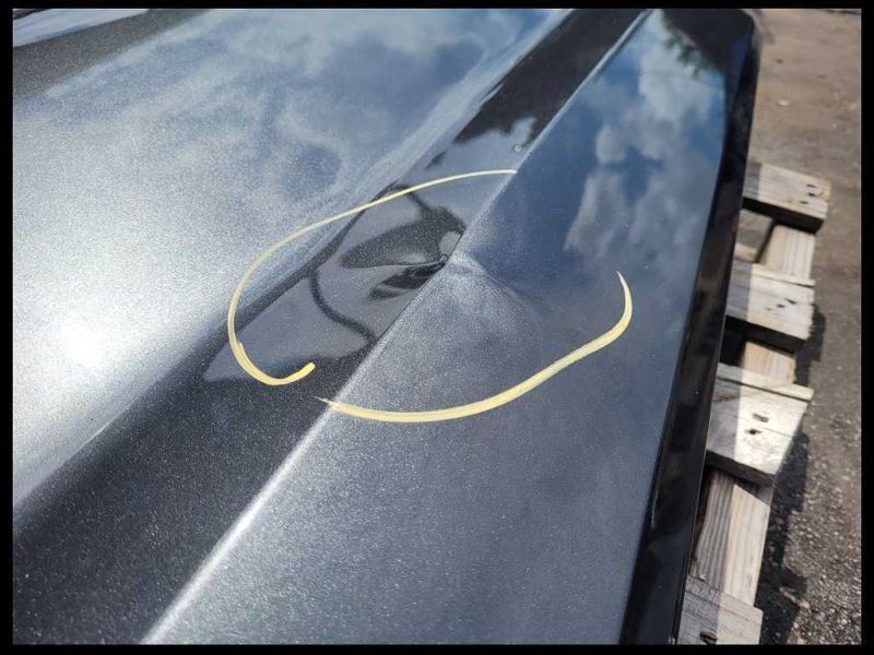 2015-2023 Ford Mustang GT S550 Passenger Right RH Front Door Coupe Paint Code J7 - The Parts Farm