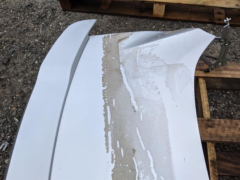 2015-2017 Ford Mustang GT EcoBoost Decklid Deck Lid Trunk Hatch Spoiler Plaque - The Parts Farm