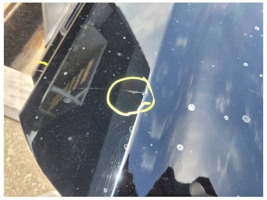 2015-2023 Ford Mustang GT S550 Driver Left Front Door Coupe Shell Paint G1 2321