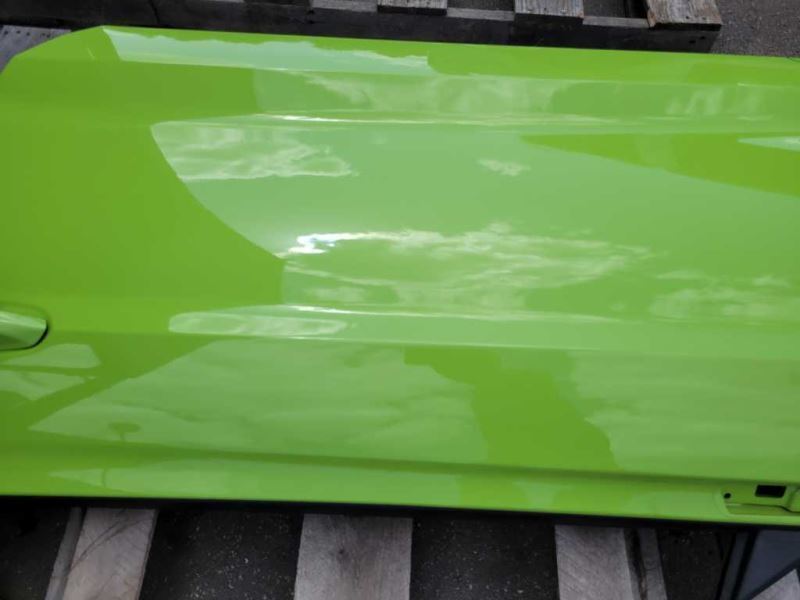 2015-2023 Ford Mustang GT S550 Driver Left Front Door Coupe Shell Paint F9 - The Parts Farm