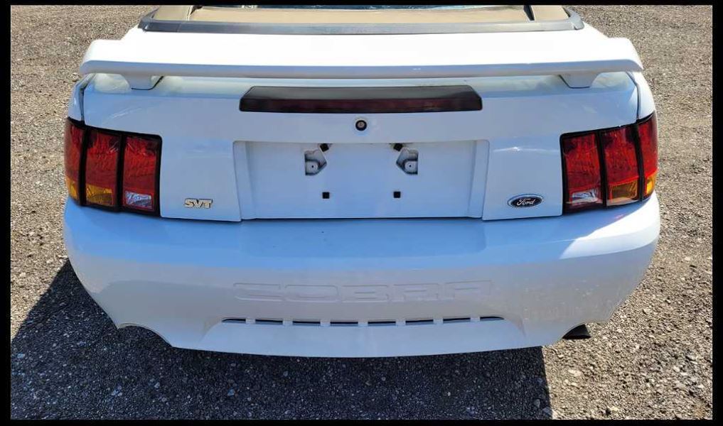 1999-2004 Ford Mustang Cobra SVT DOHC 4.6L Sight Shield Cover Engine Front - The Parts Farm