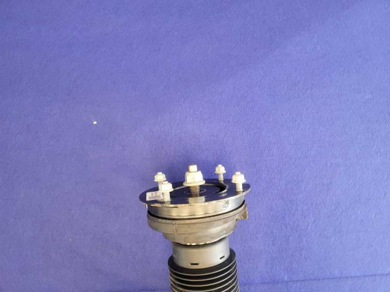 2005-2009 Ford Mustang GT 4.6L Front Strut Mount Suspension RH LH 2422 - The Parts Farm