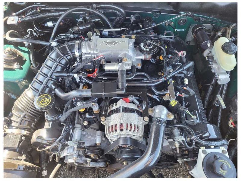 1999 Ford Mustang GT 4.6L A/T Wire Harness Automatic Transmission Plug 2561 - The Parts Farm