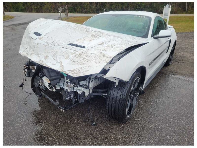 2015-2023 Ford Mustang GT S550 Driver Left Door Coupe Shell Front Paint YZ 2489 - The Parts Farm