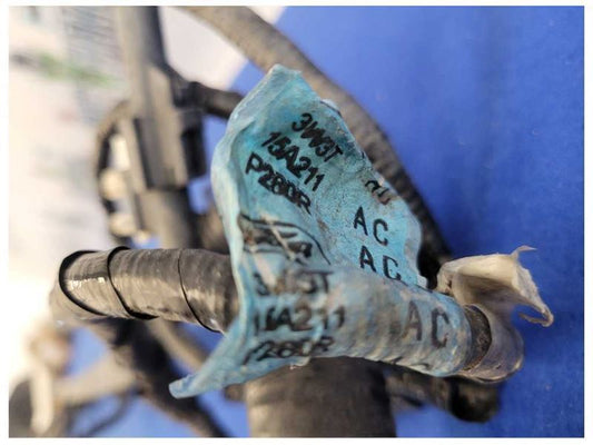 2003-2004 Mercury Marauder 4.6 Power Distribution Harness Wire Engine Plug 2534